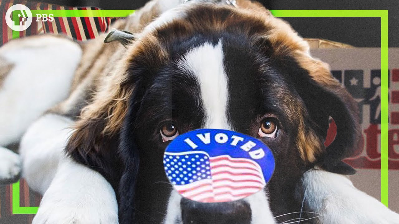 Should the U.S.A. Have Mandatory Voting?