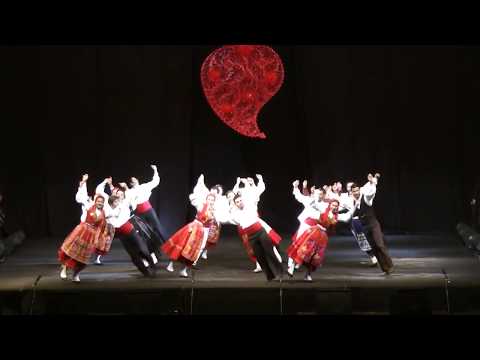 2014 FESTIVAL INTERNACIONAL