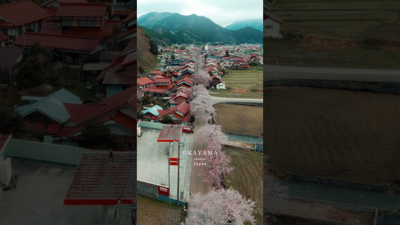 日本一美しいと言われる村🌸　新庄村