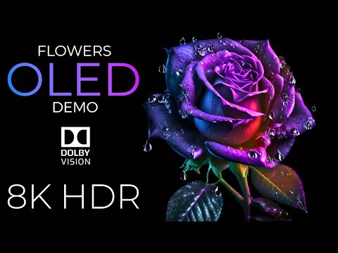 Blooming Flowers OLED Demo HDR 8K Ultra HD Dolby Vision™ 60fps