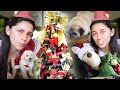 COMO DECORAR ARVORE DE NATAL GASTANDO POUCO AMANDA ALVES