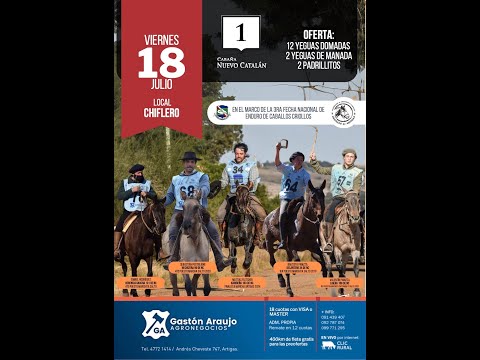 18/07/2025   Cabaña Nuevo Catalan (Caballos) - Gastón Araujo Agronegocios/ Local Chiflero - Artigas