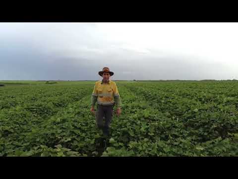 Greensill Farming - 80 years in the region