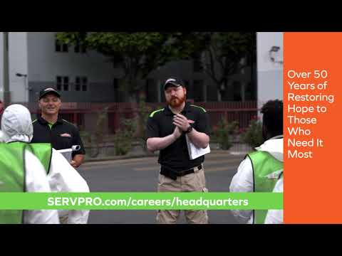 Servpro Hiring