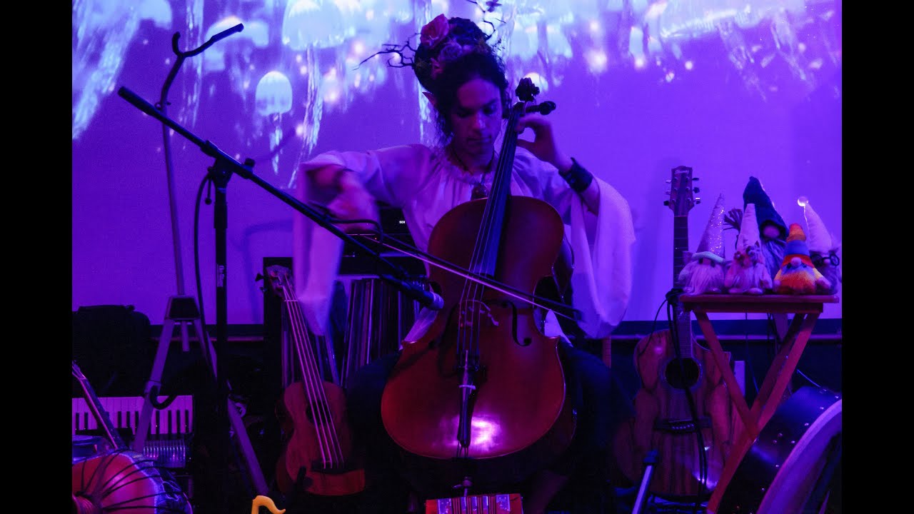 Promotional video thumbnail 2 for The Lake Worth Faerie Bard Music