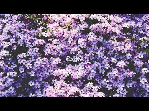 Lil Peep x Milkavelli – ZZZ