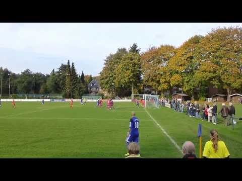 Oberliga Hamburg,Halstenbek/Rell.-SV Blankenese 1-1 ,20.10.2013