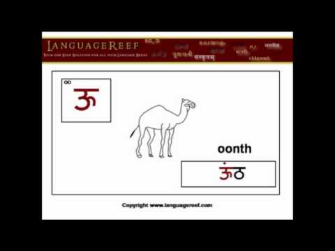 Learn Hindi Vowels