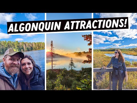 15 Things to do at ALGONQUIN PROVINCIAL PARK | Camping at Algonquin | Ontario Camping
