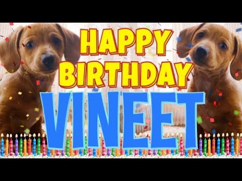 Happy Birthday Vineet! ( Funny Talking Dogs ) What Is Free On My Birthday