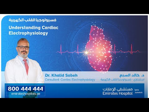 img-video