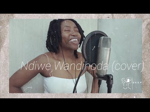 Tambudzai Gomo - Ndiwe Wandinoda (cover) Zim Urban Grooves classic