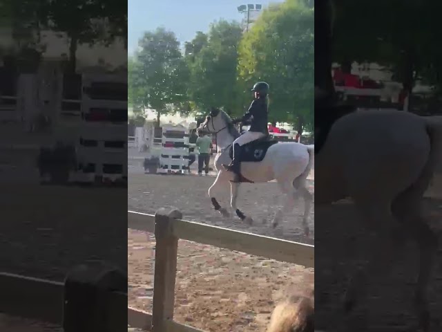 PONY STRAORDINARIO