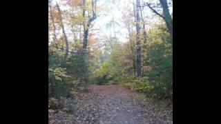 ÁKOS: Játsszuk el/Azért vagy itt