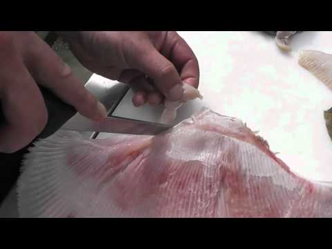 Passionate About Fish - How to Skin & Fillet Ray / Skate Wings