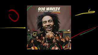 Turn Your Lights Down Low – Bob Marley and The Chineke! Orchestra (Visualiser)