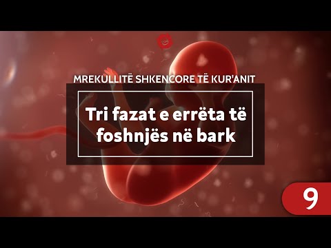 Tri fazat e errëta të foshnjës në bark - Mrekullitë shkencore të Kur'anit