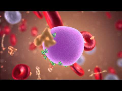 Lanalisi su problema helminths Trattamento di vermi al bambino da metodi nazionali