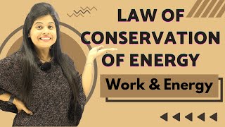 Law Of Conservation Of Energy | Chapter 11 | Work And Energy | Class 9 Science