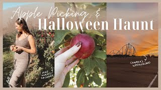 Apple Picking Near Toronto, Pine Farms Orchard & My 1st Halloween Haunt, Canada's Wonderland / Vlog