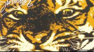 Survivor - Eye Of The Tiger (Official video clip)