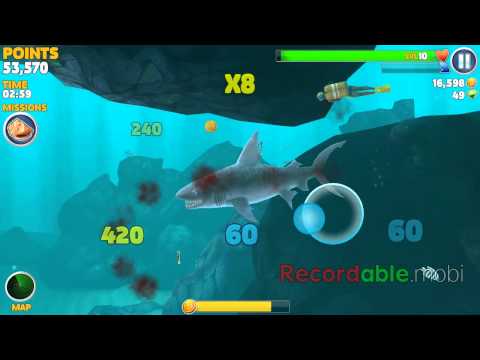 Tiger shark hungry shark evolution