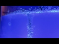 Ants Sped Up
