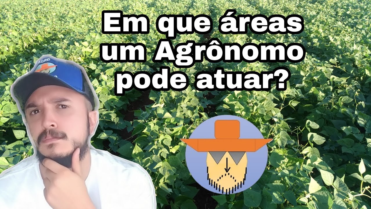 Áreas de atuação de um Agrônomo - Brainstorm de oportunidades!
