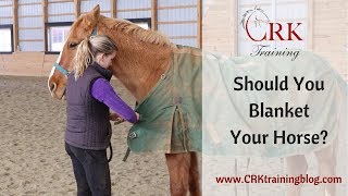 When to Blanket Your Horse