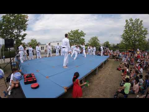 Sommerfest der Vereine - Taekwon-Do Vorführung SVDJK Taufkirchen