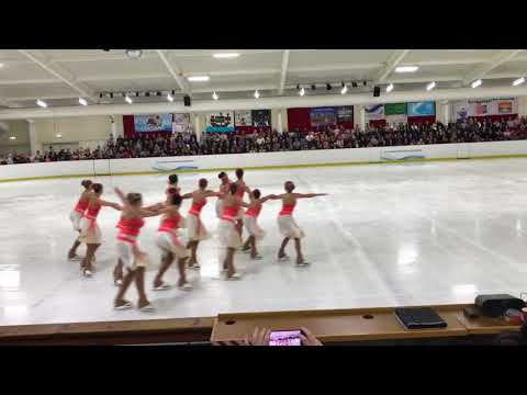Adelaide Ice Magic Basic Novice 2017 Nationals