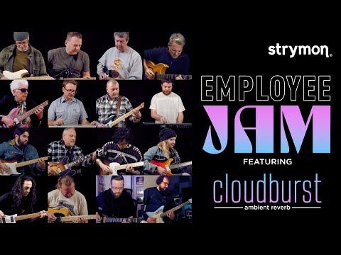 Strymon Cloudburst Ambient Reverb Pedal | Sweetwater Strymon Cloudburst Ambient Reverb Pedal | Sweetwater