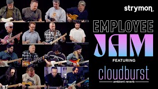 STRYMON ( ストライモン ) Cloudburst 送料無料 | サウンドハウス STRYMON ( ストライモン ) Cloudburst 送料無料 | サウンドハウス