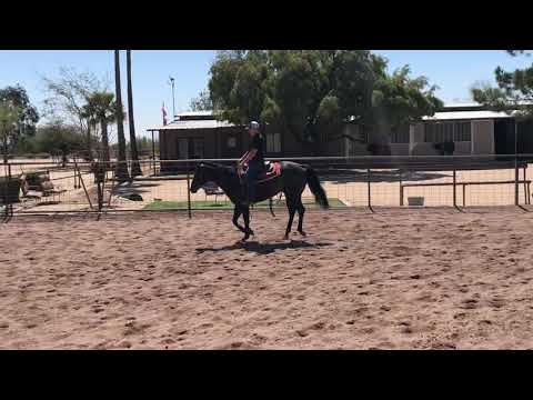 2 yr Hubba Hubba Huntin