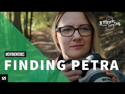 Witness21 Editor  2019 11 20