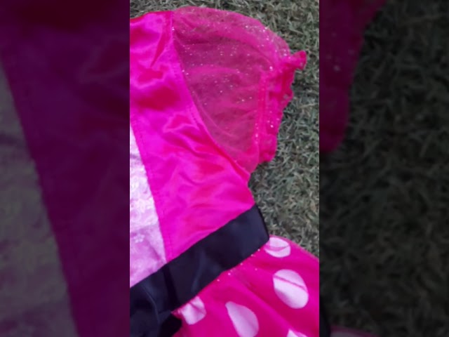 Vídeo relacionado con Disney Minnie Mouse Vestido Niña, Sueter Sudadera Vestido Diseño Leopardo, Regalo para Niñas, Talla 4 Años
