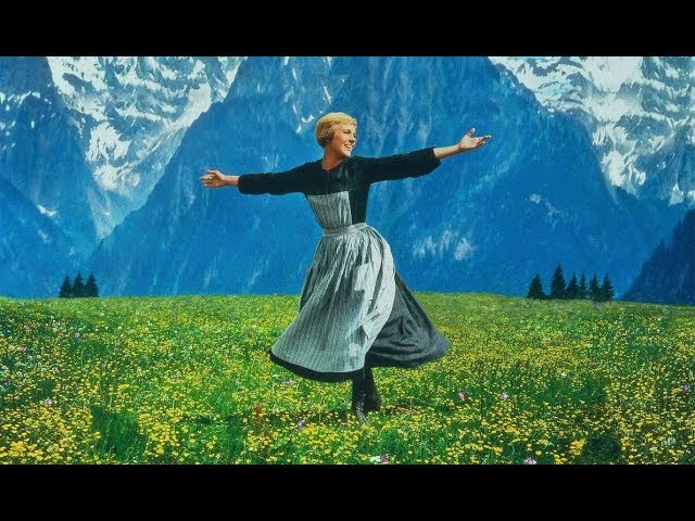 That's Hollywood (4:3, High Definition)