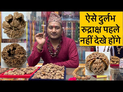 ऐसे दुर्लभ रुद्राक्ष पहले नहीं देखे होंगे 😳#nepal #nepalirudraksha #rudrakshabeads