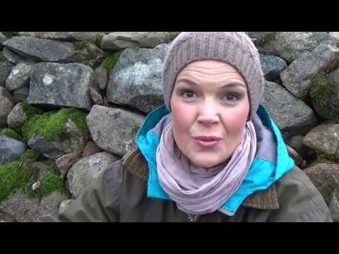 Experiment med potatis odlad i halm