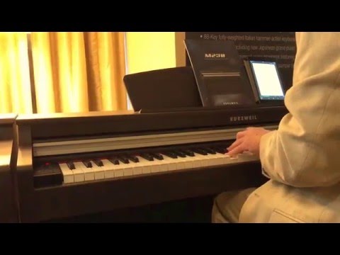 M230SR Kurzweil תמונה 2