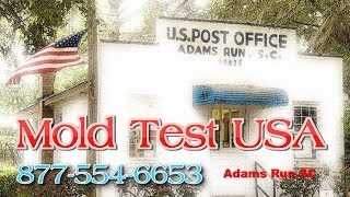 preview picture of video 'Mold Test USA Adams Run SC - Mold Testing and Inspections'