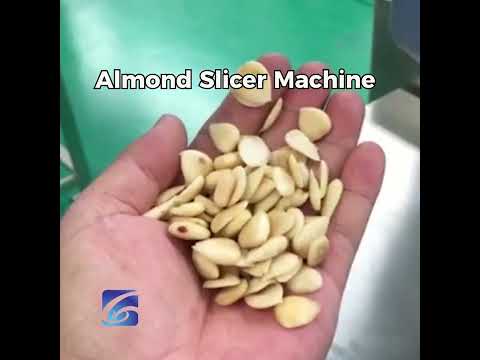 Almond Slicer Machine Test Running | Nuts Slicing Machine | Sliced Almond