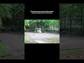 A haunting in Huntsville, AL? Have you heard about the creepy paranormal playground?