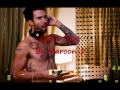 Maroon 5 Can't Stop 