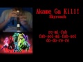 Akame ga Kill! Opening 1 | Skyreach | Flauta ...
