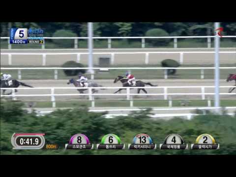 Race 2 - Asian Young Guns Jockey Challenge,Seoul - August, 2015