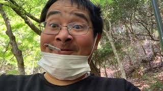 ポンチキの宮島観光