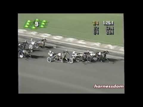 1996 Meadowlands MYSTICAL MADDY Mike Lachance Mistletoe Shalee Final