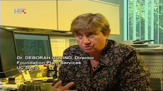 Dossier Zinfandel, documentary, intro