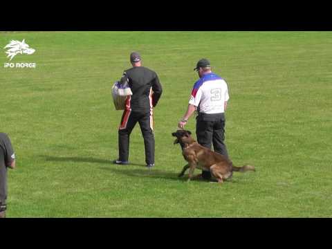 Crutt av Staalhjerte - C